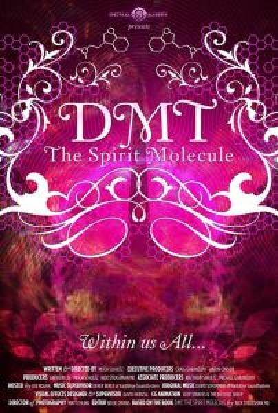 فيلم DMT The Spirit Molecule اونلاين مترجم