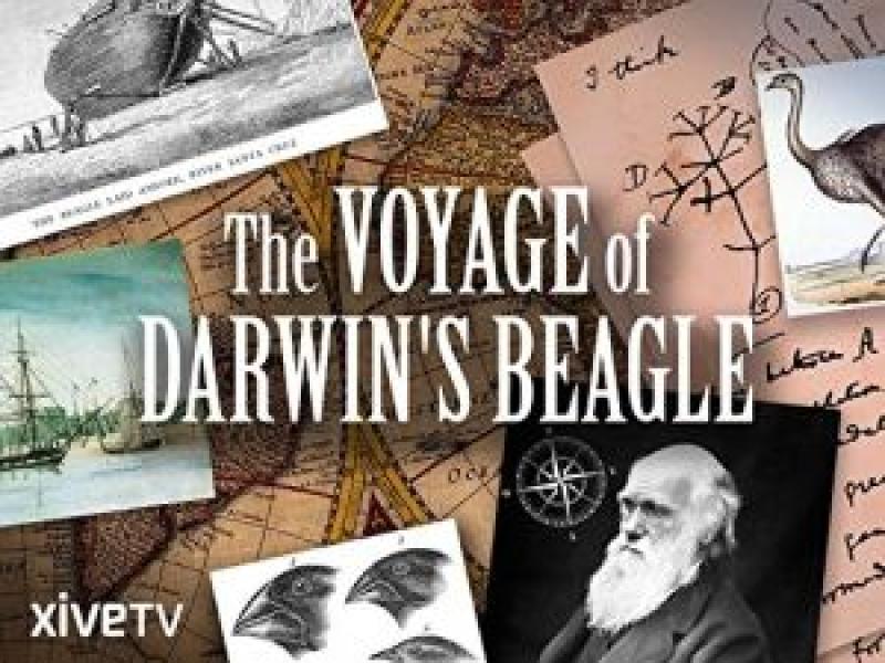 فيلم Darwin & the Beagle's Scandal اونلاين مترجم