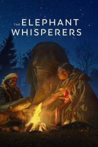 فيلم The Elephant Whisperers اونلاين مترجم