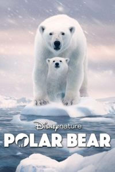 فيلم Polar Bear اونلاين مترجم