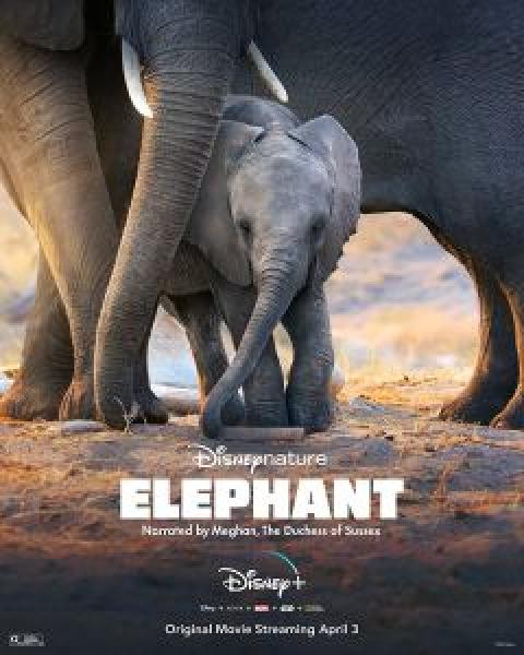 فيلم Elephant اونلاين مترجم