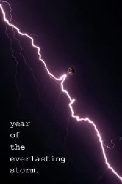 فيلم The Year of the Everlasting Storm اونلاين مترجم