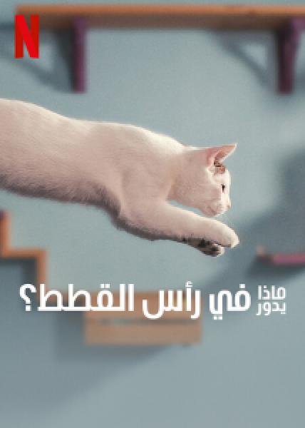 فيلم Inside the Mind of a Cat اونلاين مترجم