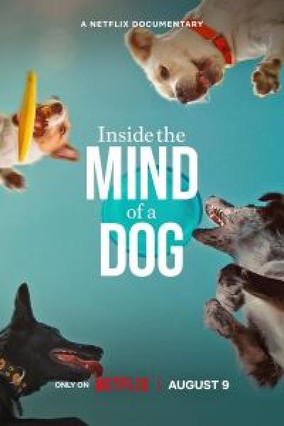 فيلم Inside the Mind of a Dog اونلاين مترجم