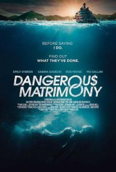 فيلم Dangerous Matrimony اونلاين مترجم