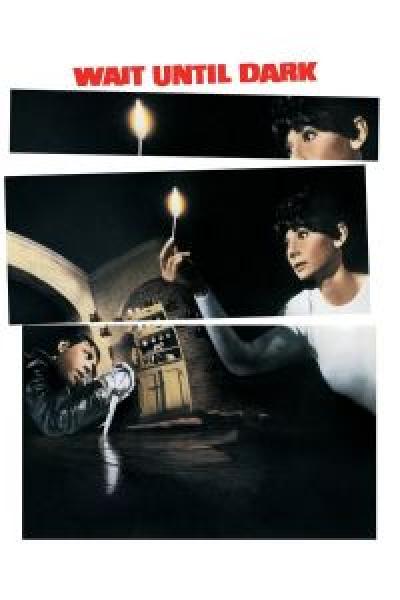 فيلم Wait Until Dark اونلاين مترجم