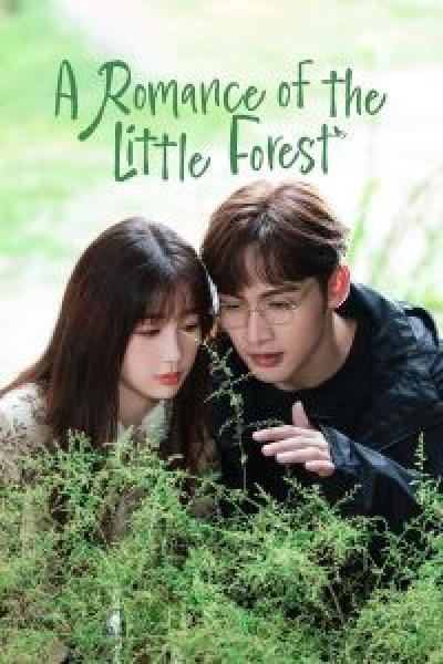 مسلسل A Romance of the Little Forest الموسم 1